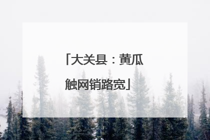 大关县：黄瓜触网销路宽