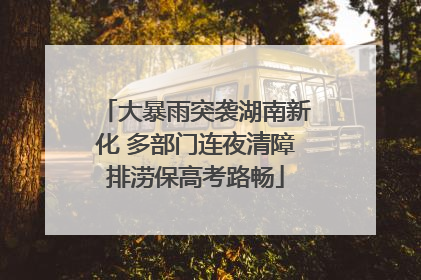 大暴雨突袭湖南新化 多部门连夜清障排涝保高考路畅