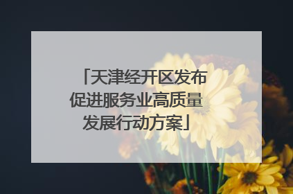 天津经开区发布促进服务业高质量发展行动方案