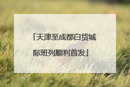 天津至成都白货城际班列顺利首发