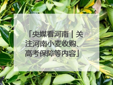 央媒看河南｜关注河南小麦收购、高考保障等内容