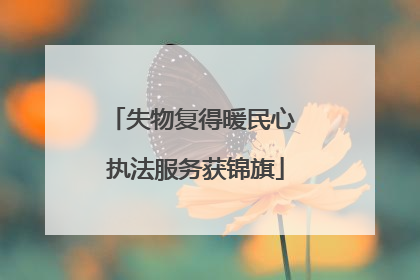 失物复得暖民心 执法服务获锦旗