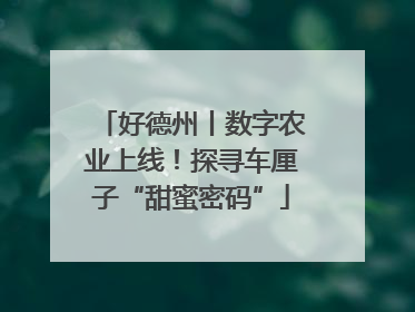 好德州丨数字农业上线！探寻车厘子“甜蜜密码”
