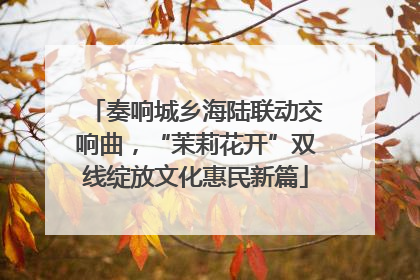 奏响城乡海陆联动交响曲，“茉莉花开”双线绽放文化惠民新篇