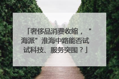 奢侈品消费收缩，“海派”淮海中路能否试试科技、服务突围？