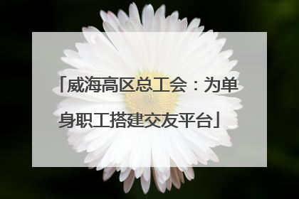威海高区总工会：为单身职工搭建交友平台