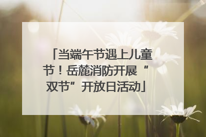 当端午节遇上儿童节！岳麓消防开展“双节”开放日活动