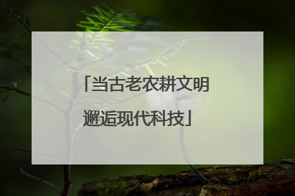 当古老农耕文明邂逅现代科技