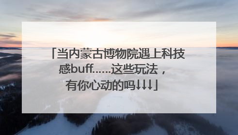 当内蒙古博物院遇上科技感buff……这些玩法，有你心动的吗↓↓↓