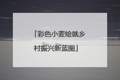 彩色小麦绘就乡村振兴新蓝图