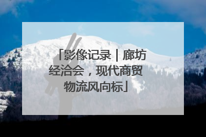 影像记录｜廊坊经洽会，现代商贸物流风向标