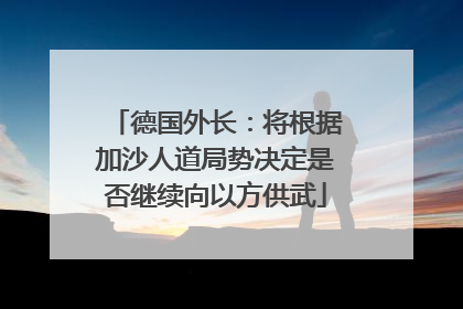 德国外长：将根据加沙人道局势决定是否继续向以方供武