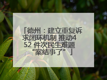 德州：建立重复诉求闭环机制 推动452 件次民生难题 “案结事了”