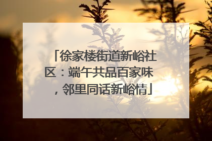徐家楼街道新峪社区：端午共品百家味，邻里同话新峪情