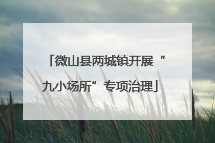 微山县两城镇开展“九小场所”专项治理