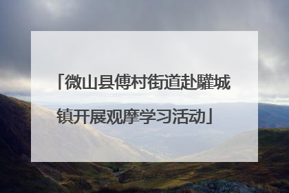 微山县傅村街道赴驩城镇开展观摩学习活动