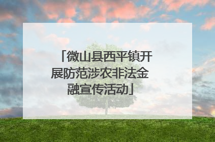 微山县西平镇开展防范涉农非法金融宣传活动