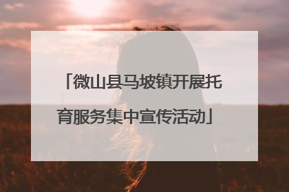 微山县马坡镇开展托育服务集中宣传活动