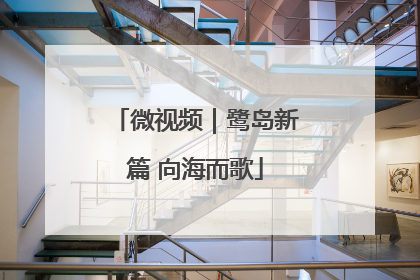 微视频｜鹭岛新篇 向海而歌