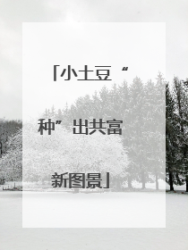 小土豆“种”出共富新图景