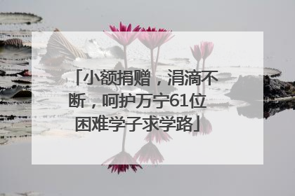 小额捐赠，涓滴不断，呵护万宁61位困难学子求学路