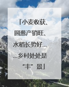 小麦收获、圆葱产销旺、水稻长势好……乡村处处是“丰”景
