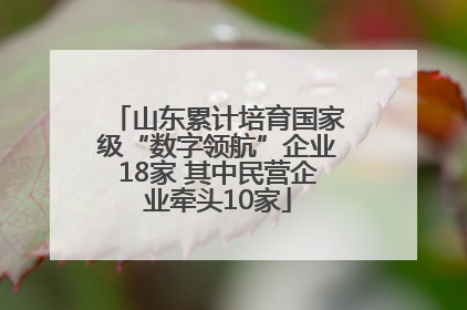 山东累计培育国家级“数字领航”企业18家 其中民营企业牵头10家