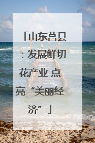 山东莒县：发展鲜切花产业 点亮“美丽经济”