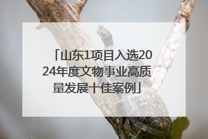 山东1项目入选2024年度文物事业高质量发展十佳案例