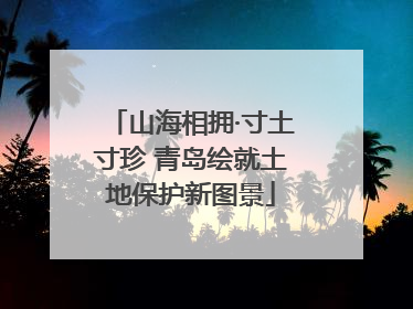 山海相拥·寸土寸珍 青岛绘就土地保护新图景