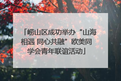 崂山区成功举办“山海相遇 同心共融”欧美同学会青年联谊活动