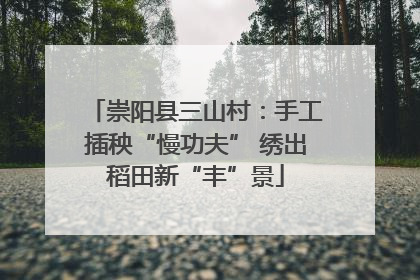 崇阳县三山村：手工插秧“慢功夫” 绣出稻田新“丰”景