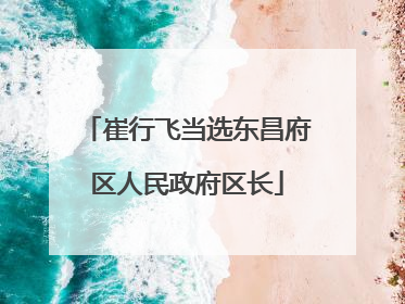 崔行飞当选东昌府区人民政府区长