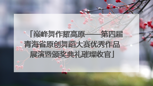 巅峰舞作耀高原——第四届青海省原创舞蹈大赛优秀作品展演暨颁奖典礼璀璨收官