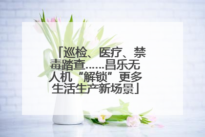 巡检、医疗、禁毒踏查……昌乐无人机“解锁”更多生活生产新场景