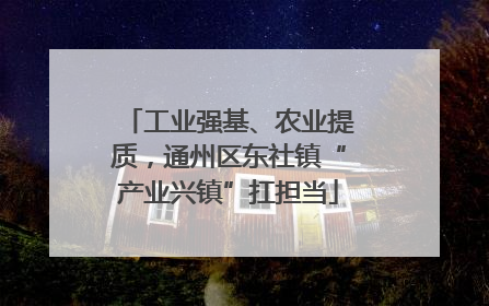 工业强基、农业提质，通州区东社镇“产业兴镇”扛担当