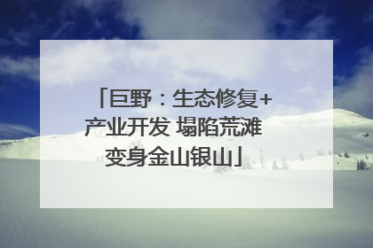 巨野：生态修复+产业开发 塌陷荒滩变身金山银山