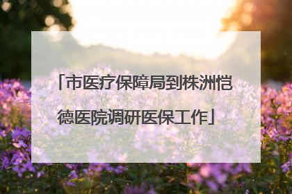市医疗保障局到株洲恺德医院调研医保工作