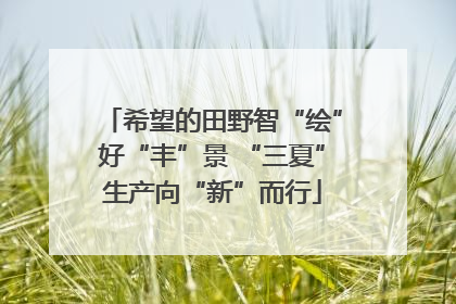 希望的田野智“绘”好“丰”景 “三夏”生产向“新”而行