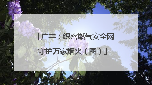 广丰：织密燃气安全网 守护万家烟火（图）