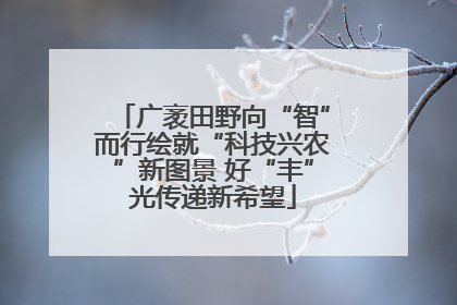 广袤田野向“智”而行绘就“科技兴农”新图景 好“丰”光传递新希望