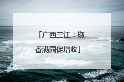 广西三江：椒香满园促增收