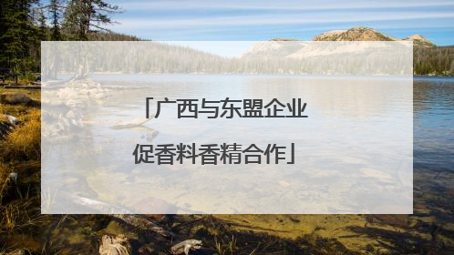 广西与东盟企业促香料香精合作
