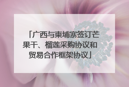 广西与柬埔寨签订芒果干、榴莲采购协议和贸易合作框架协议