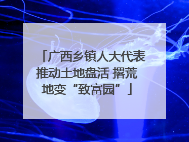 广西乡镇人大代表推动土地盘活 撂荒地变“致富园”