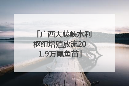 广西大藤峡水利枢纽增殖放流201.9万尾鱼苗