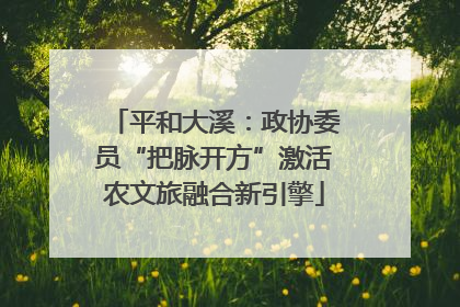 平和大溪：政协委员“把脉开方”激活农文旅融合新引擎