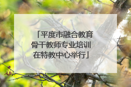 平度市融合教育骨干教师专业培训在特教中心举行