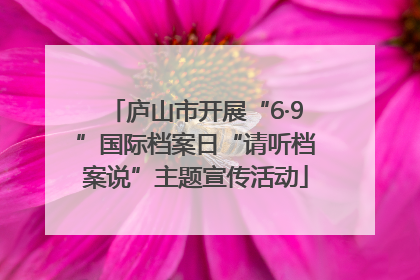 庐山市开展“6·9”国际档案日“请听档案说”主题宣传活动