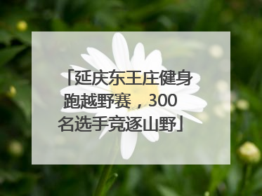 延庆东王庄健身跑越野赛，300名选手竞逐山野